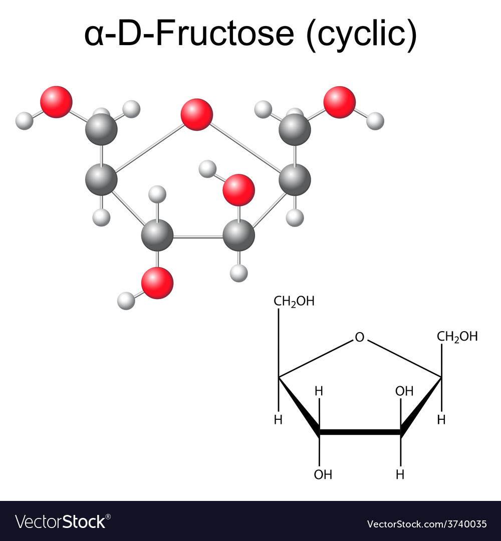 Structural Chemical Formula And Model Fructose Vector Image