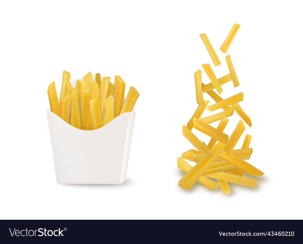 Fried Potatoes Realistic Set Royalty Free Vector Image