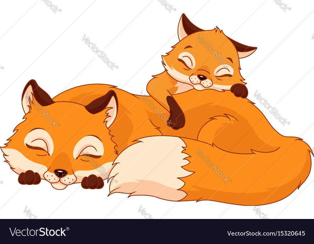 Foxes Sleeping Royalty Free Vector Image Vectorstock