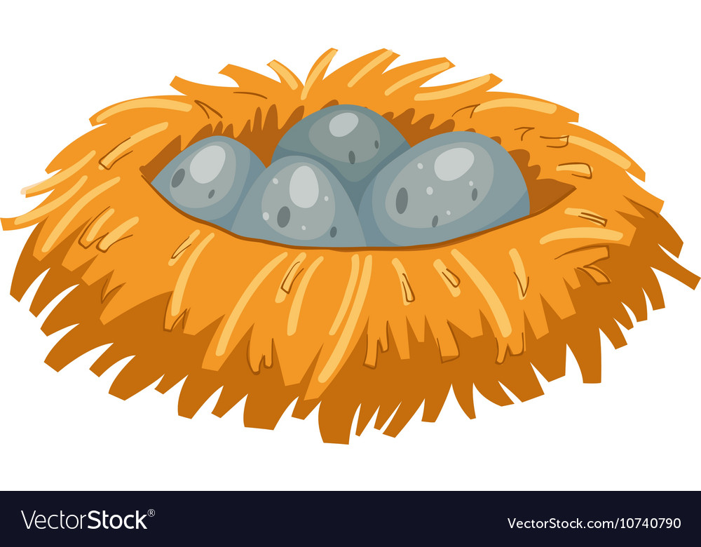 Four Gray Eggs In Bird Nest Royalty Free Vector Image