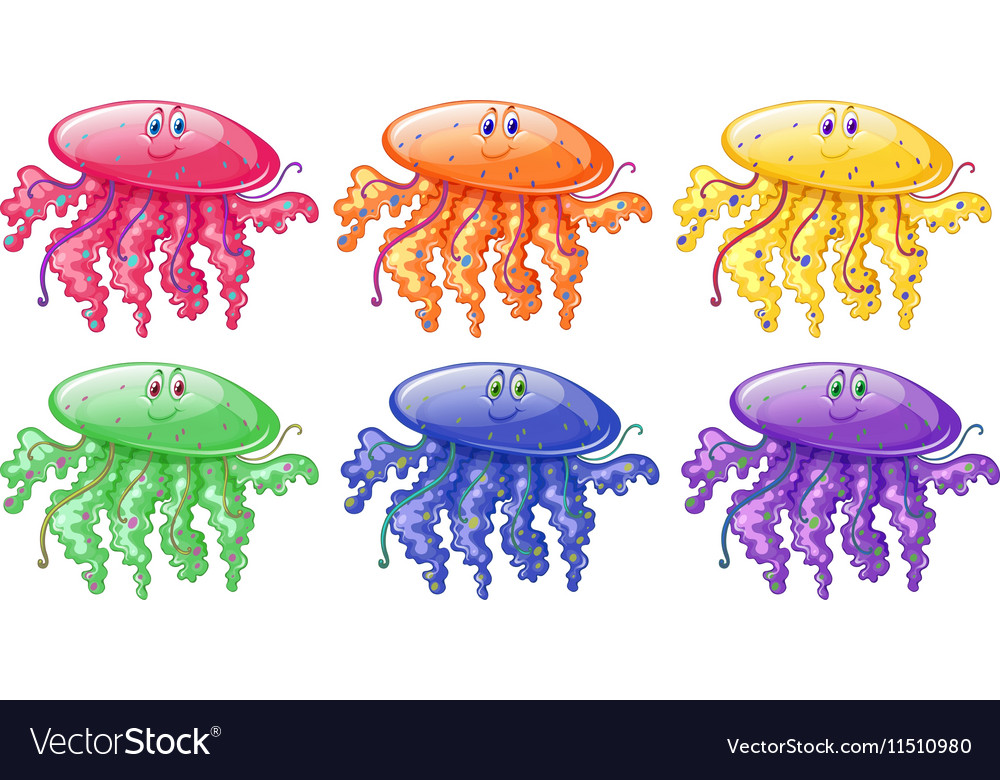 Jellyfish In Six Different Colors Royalty Free Vector Image