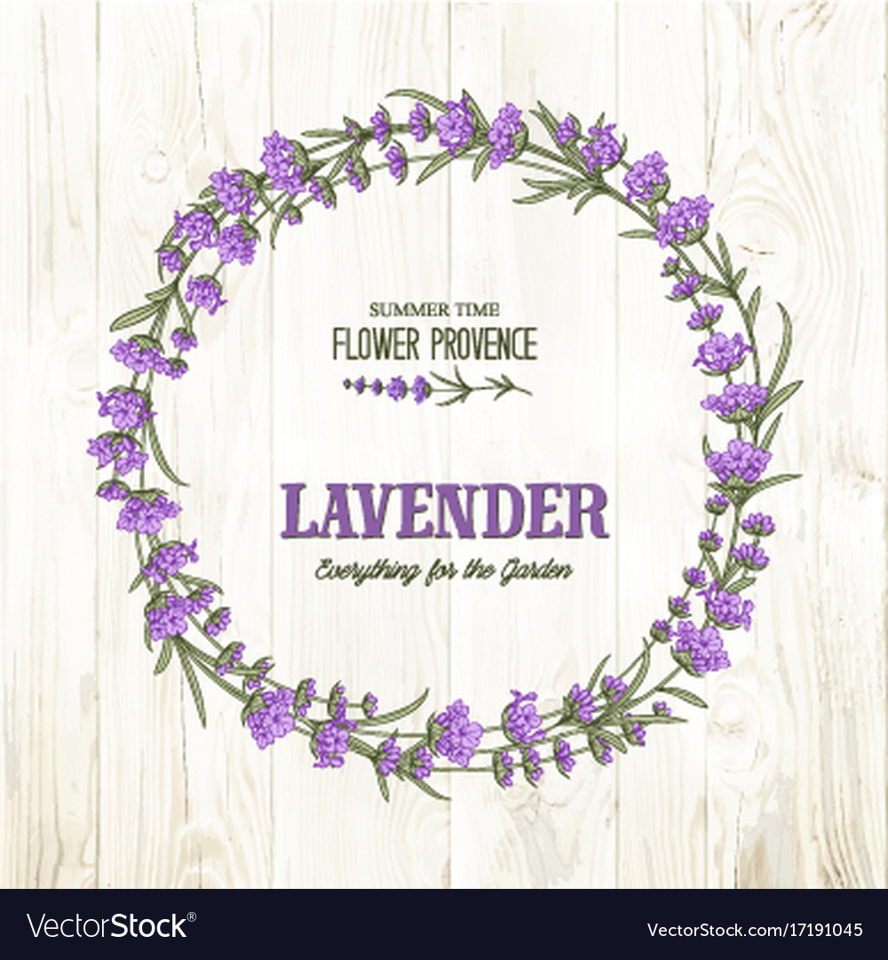 Lavender Elegant Wreath Royalty Free Vector Image