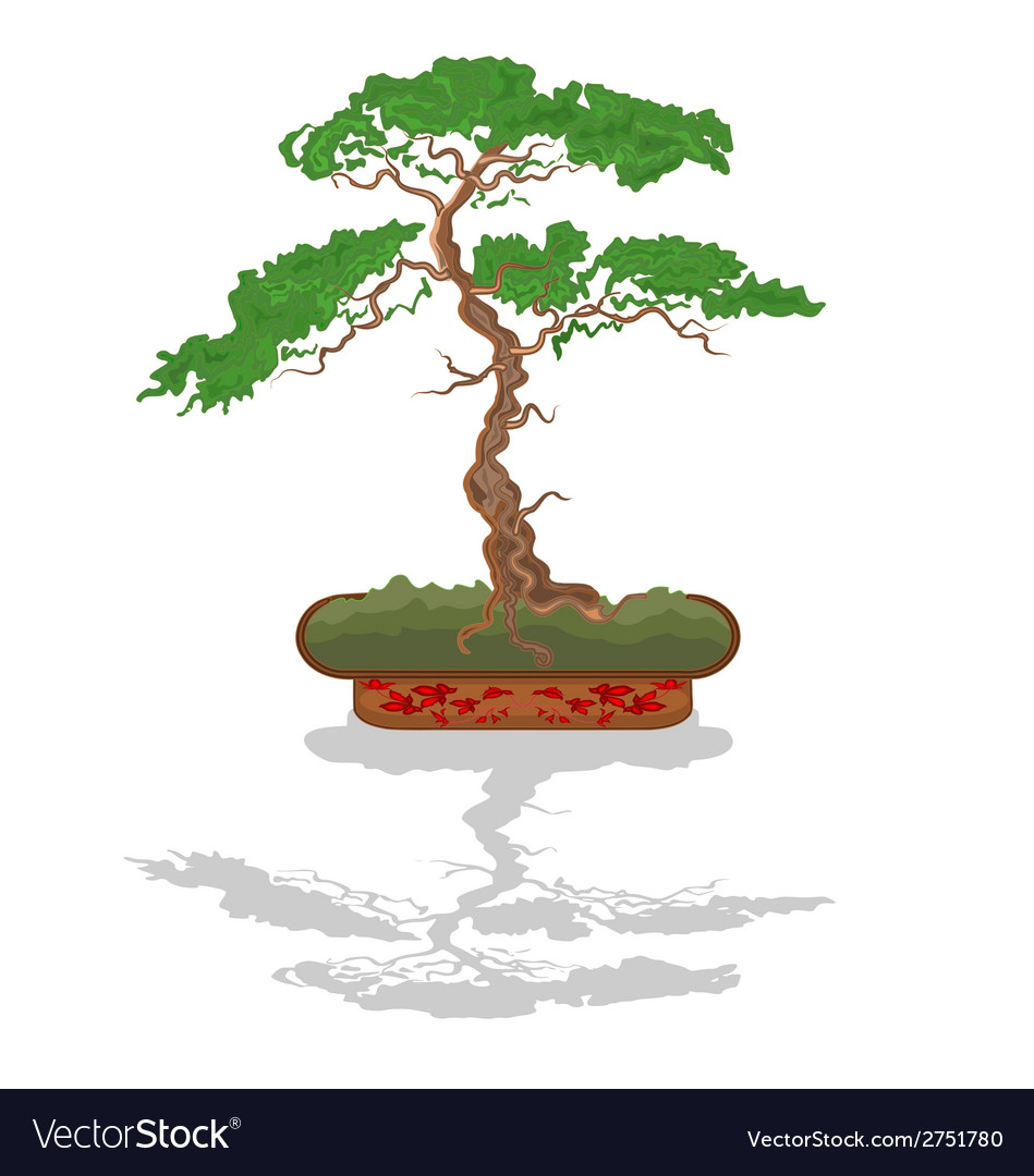 Bonsai Tree Royalty Free Vector Image Vectorstock