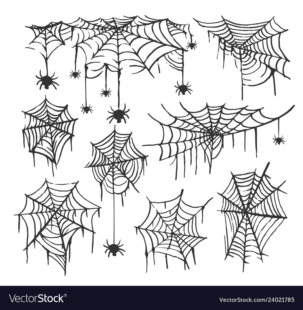 Collection Of Cobweb Isolated Transparent Vector Image