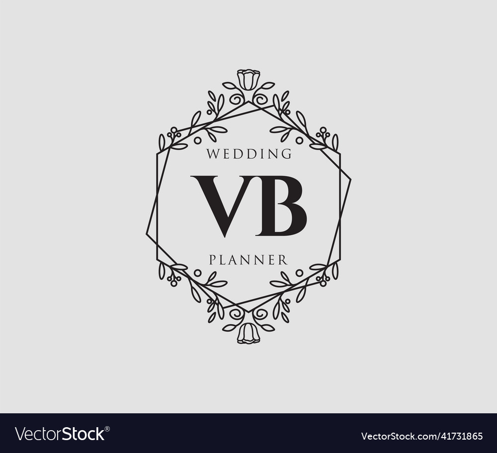 Vb Initials Letter Wedding Monogram Logos Vector Image