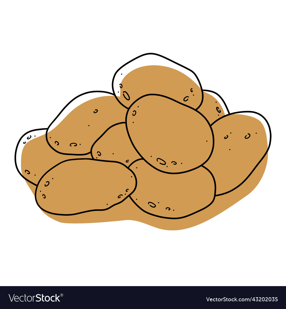 Potatoes Royalty Free Vector Image VectorStock