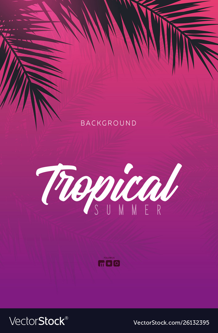 Summer Tropical Palm Leaves Exotic Palms Tree Vector Image