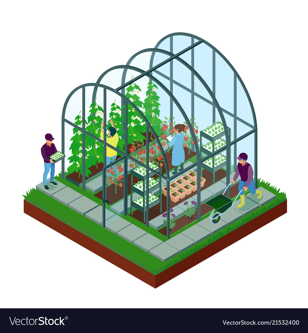 Greenhouse Isometric Composition Royalty Free Vector Image