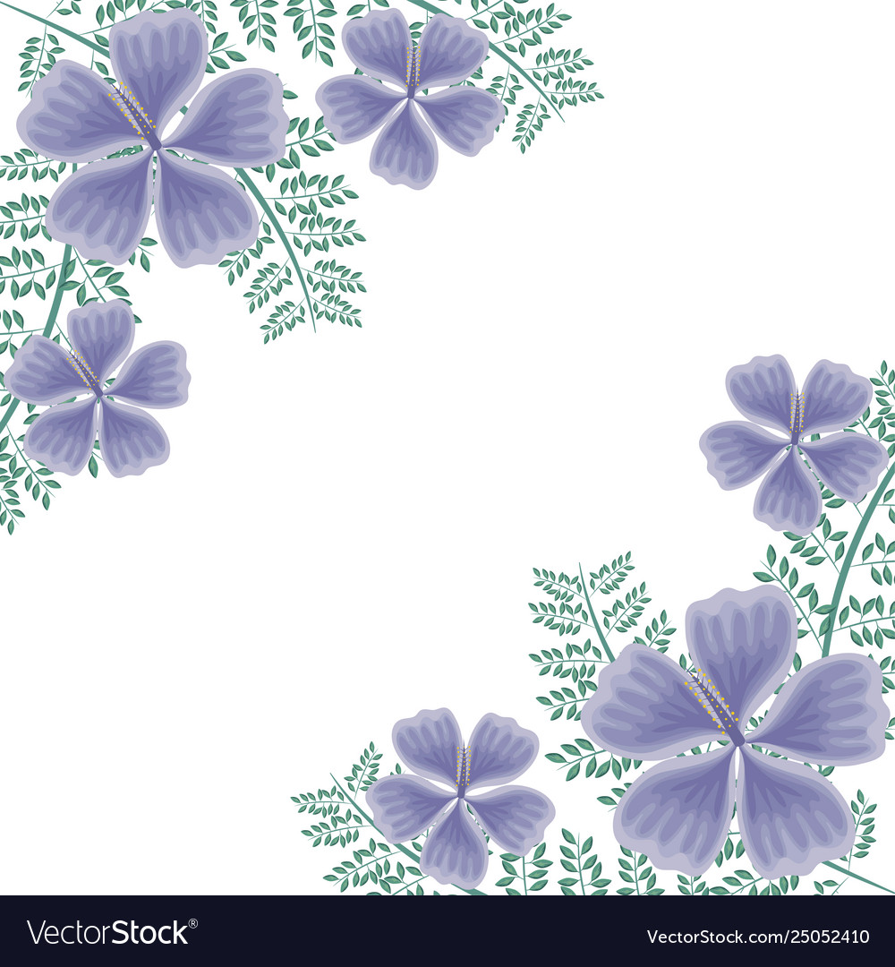 Frame Beautiful Flowers With Branches And Leafs Vector Image