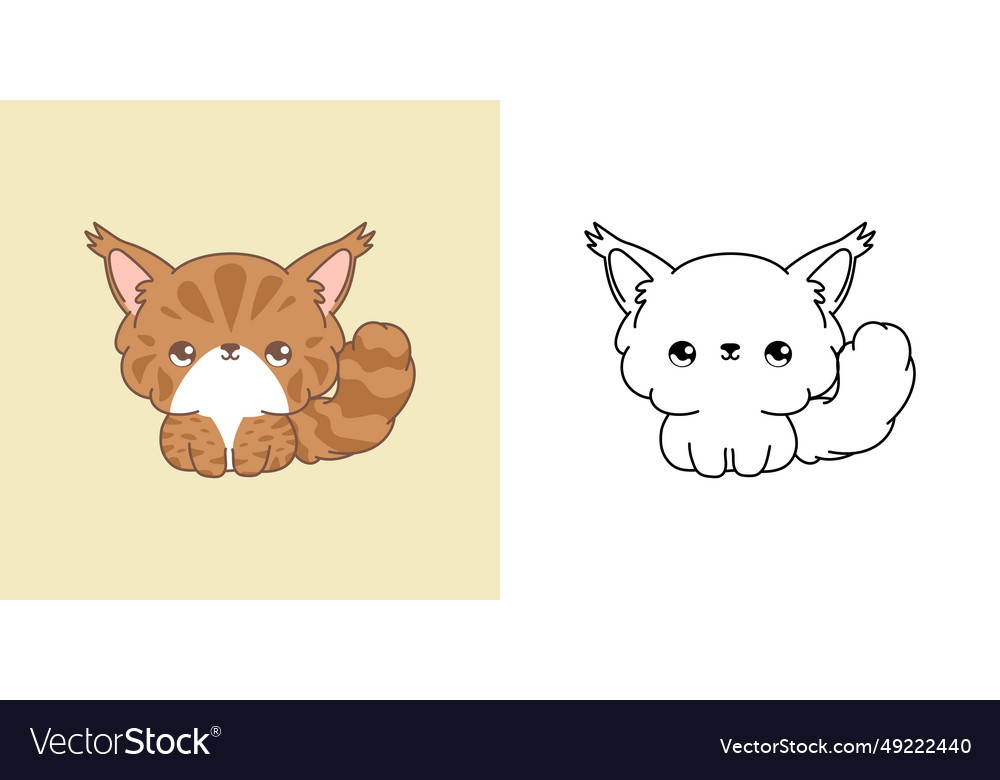 Set Maine Coon Cat Multicolored And Black Vector Image