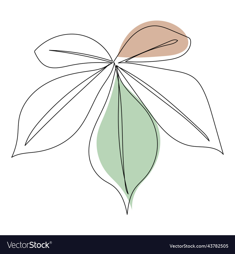 Plant Leaves Line Art Contour Drawing Minimalism Vector Image