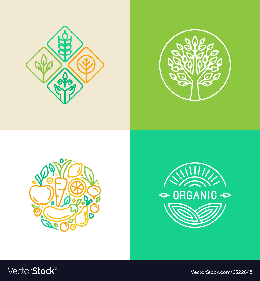 Linear Logo Design Template And Badges Royalty Free Vector