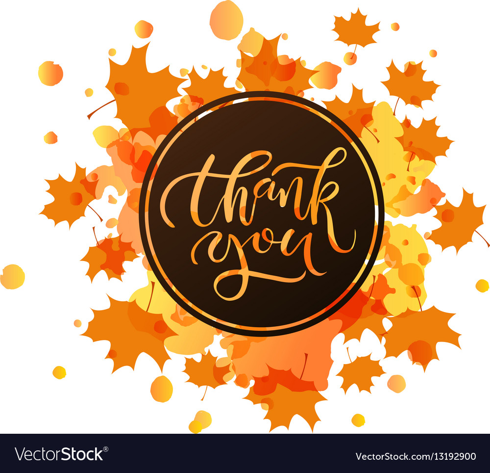 Hand Drawn Thank You Lettering Typography Poster Vector Image