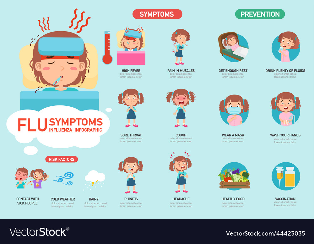 Flu Symptoms Or Influenza Infographic Royalty Free Vector