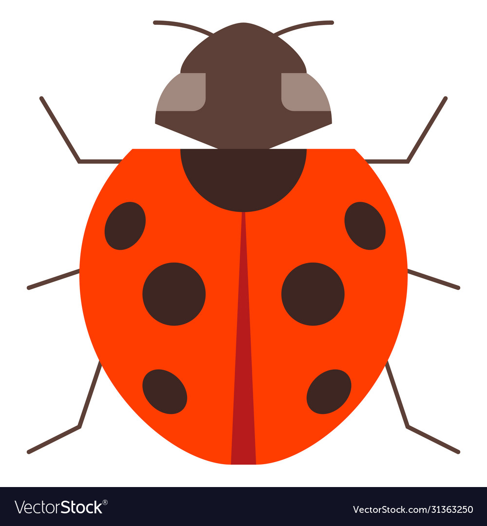 Ladybird Royalty Free Vector Image Vectorstock