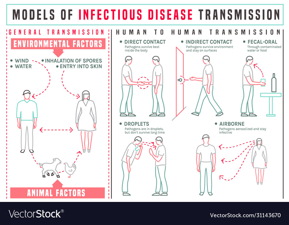 Disease Transmission Infographics Royalty Free Vector Image