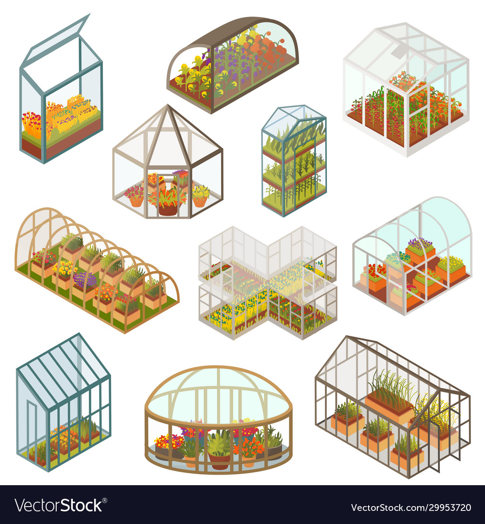 Greenhouse Isometric Growing Royalty Free Vector Image