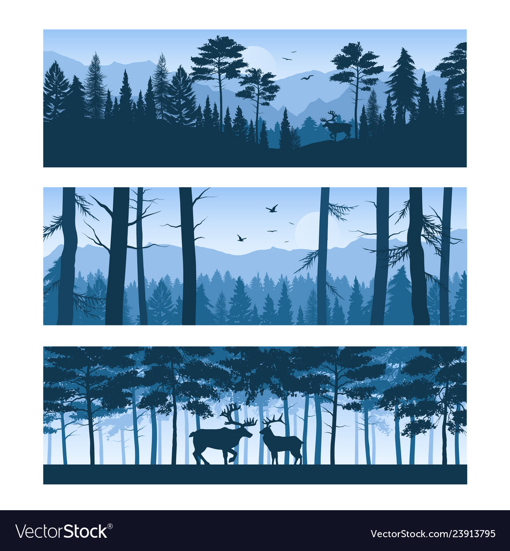 Realistic Forest Landscapes Horizontal Banners Vector Image