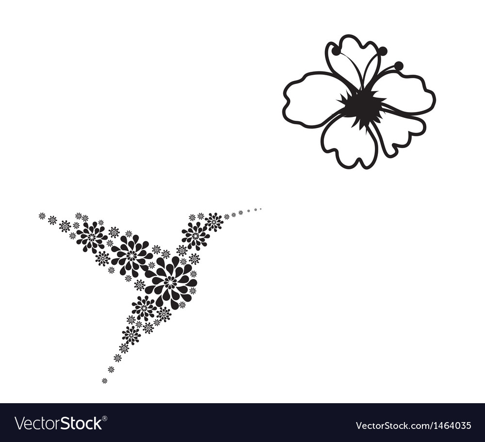 Hummingbird Royalty Free Vector Image Vectorstock