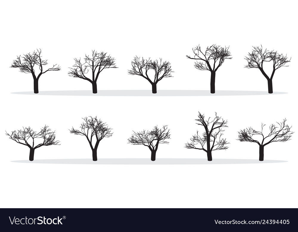 Naked Trees Silhouettes Set Hand Drawn Isolated Vector Image