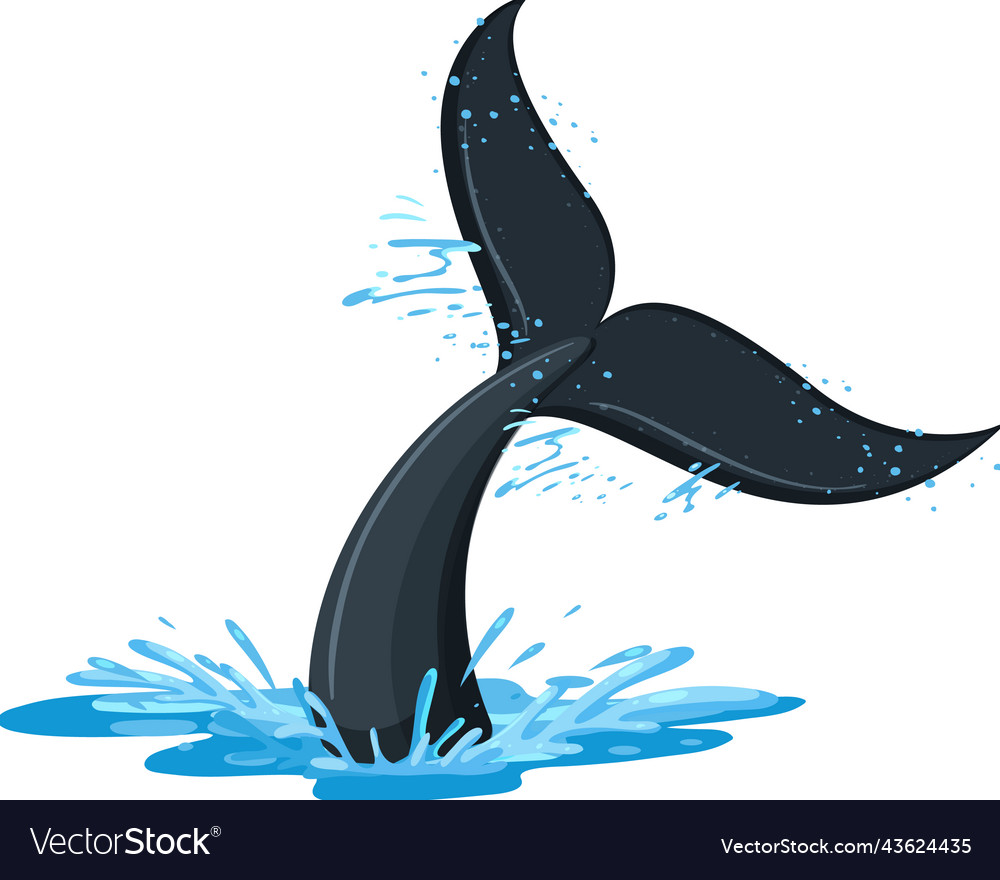 A Tail Of Whale In The Water Royalty Free Vector Image