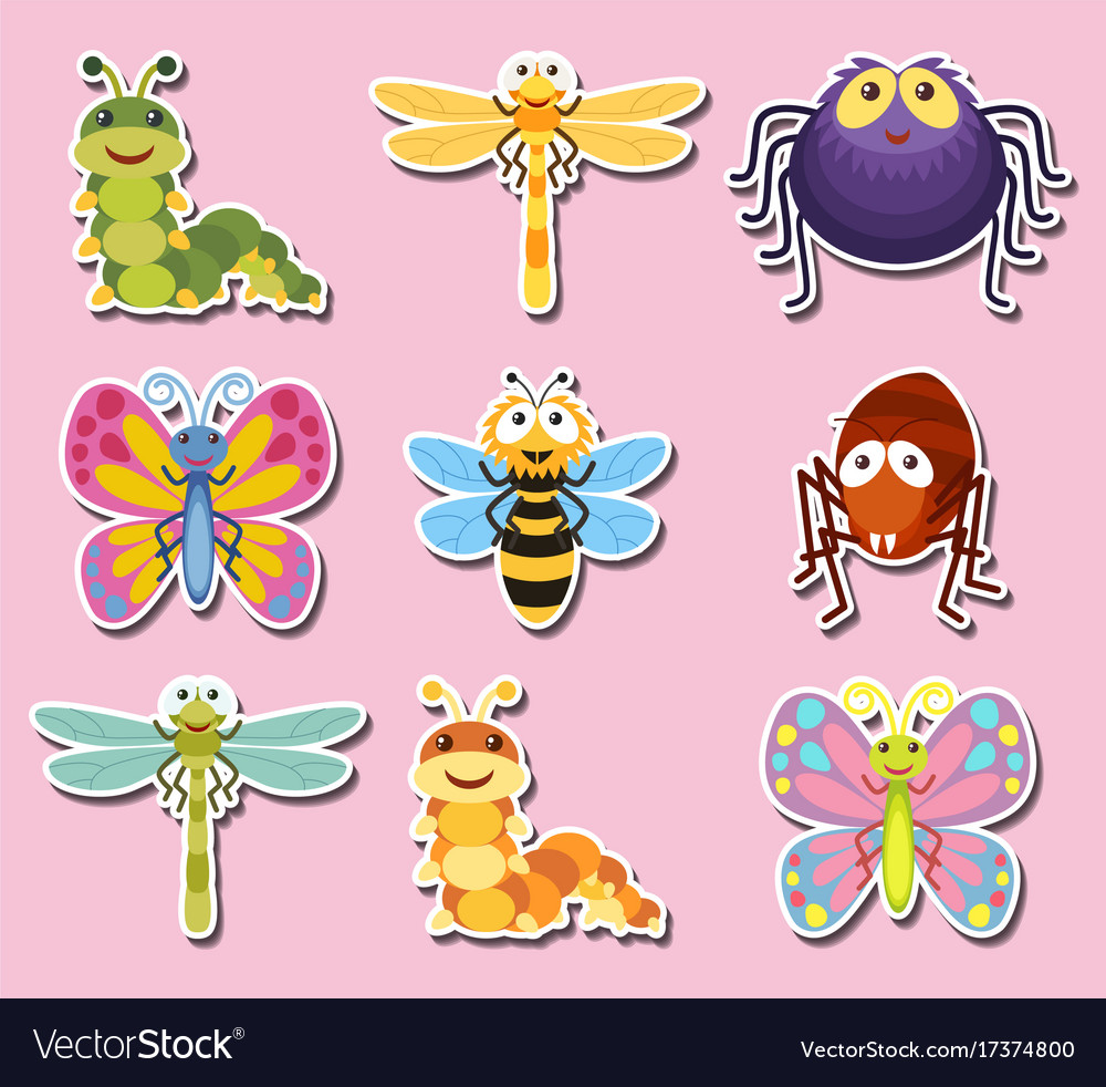 Sticker Design With Cute Bugs And Insects Vector Image