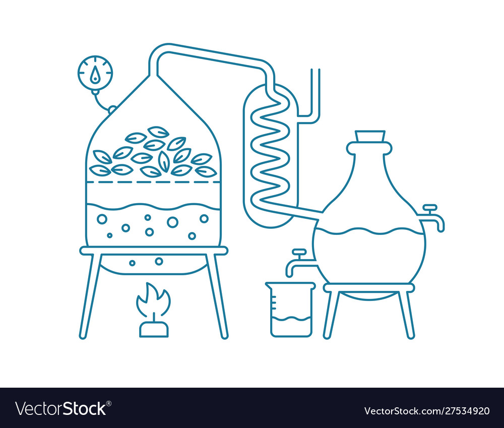 Essential Oil Making Distillations Aromatic Oils Vector Image