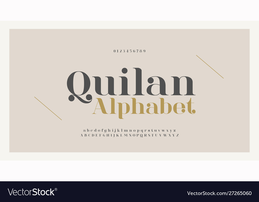 Elegant Alphabet Letters Font And Number Classic Vector Image