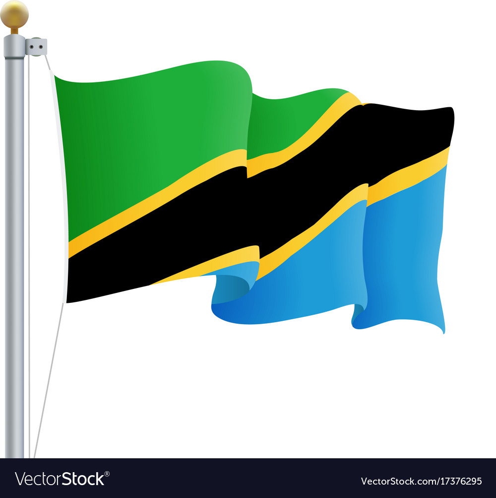 Waving Tanzania Flag Isolated On A White Vector Image