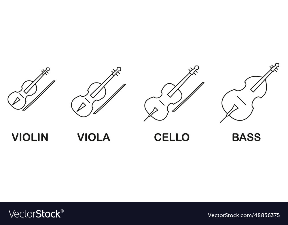 Set Of Symphonic String Musical Instruments Vector Image