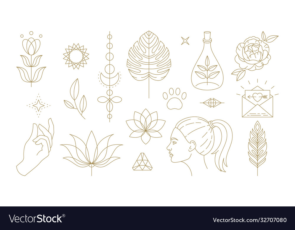 Floral Symbols For Femininity Representation Vector Image