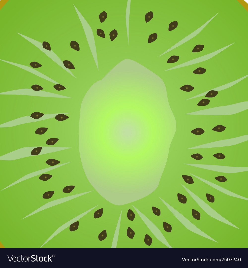 Kiwifruit Royalty Free Vector Image Vectorstock