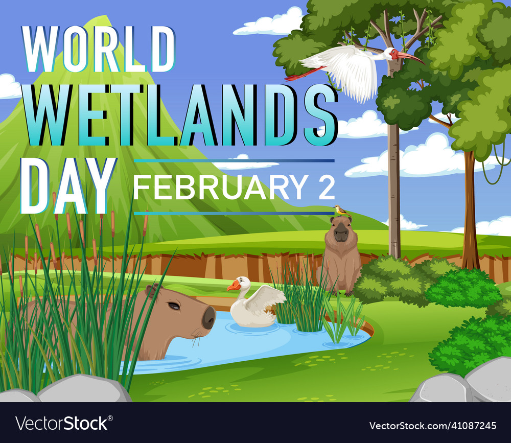 World Wetlands Day Poster Design Royalty Free Vector Image