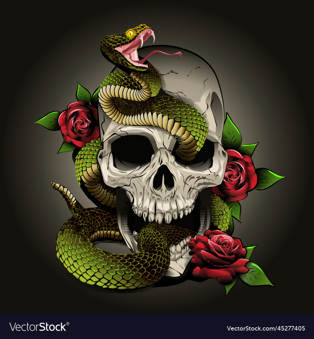 Skull Snake And Roses Engrav Royalty Free Vector Image