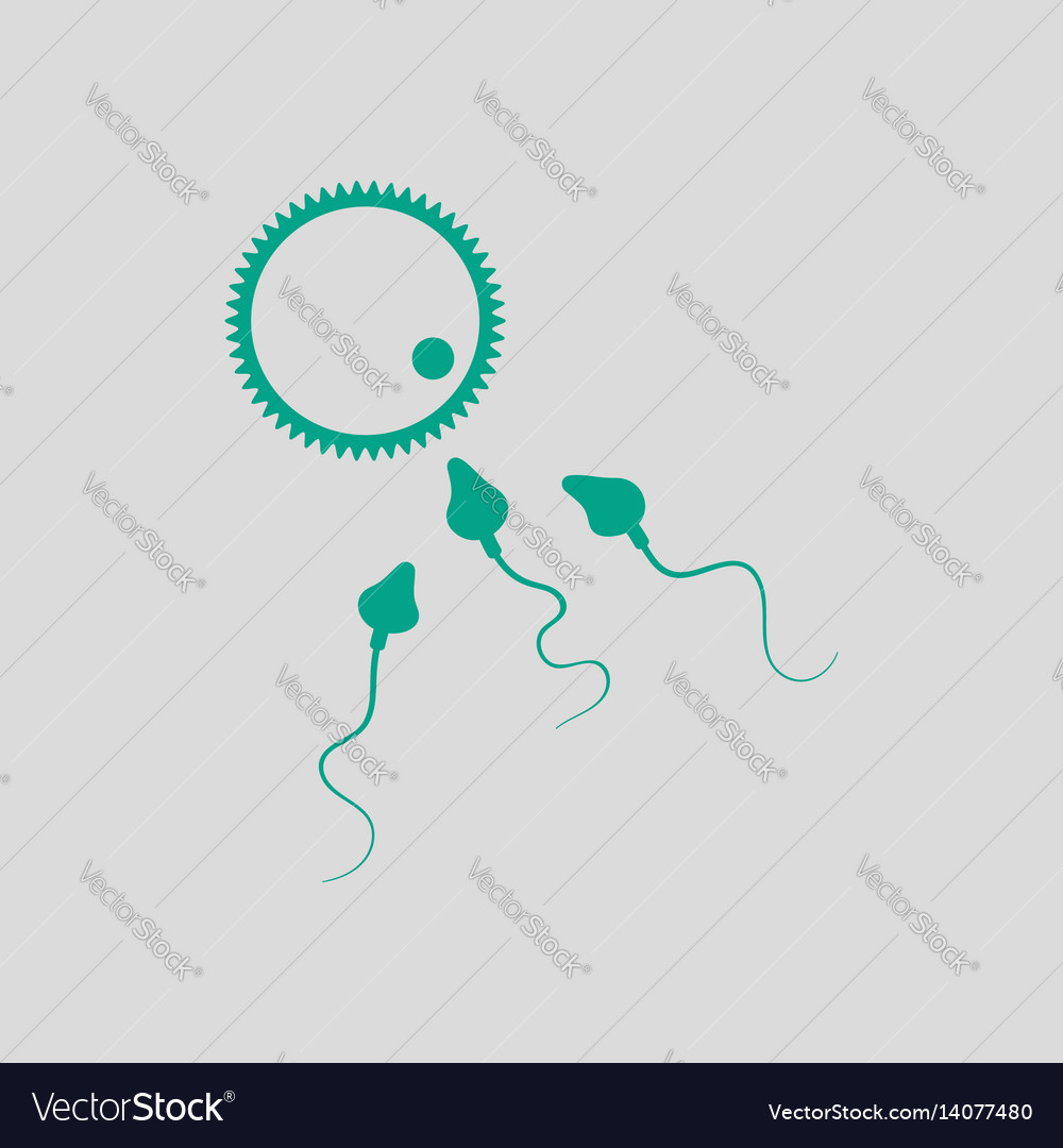 Sperm And Egg Cell Icon Royalty Free Vector Image