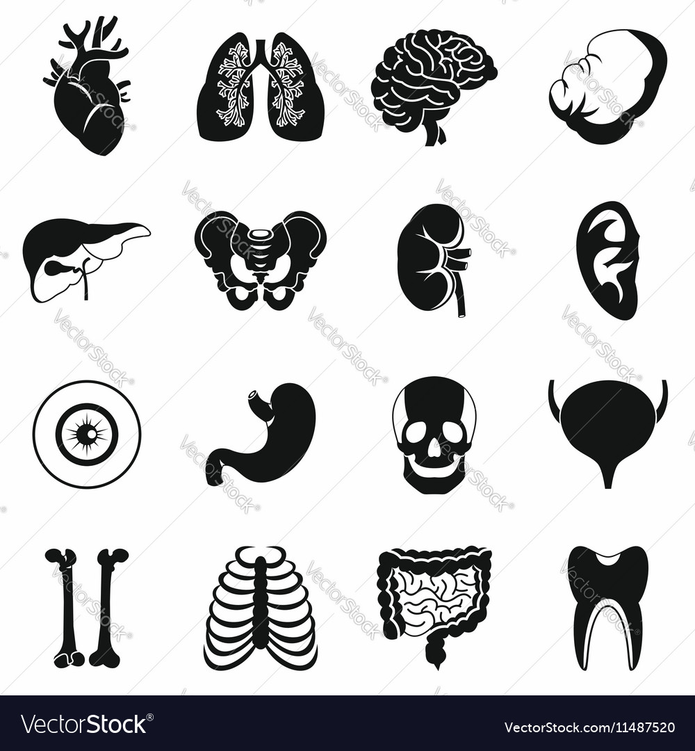 Human Organs Icons Set Simple Style Royalty Free Vector