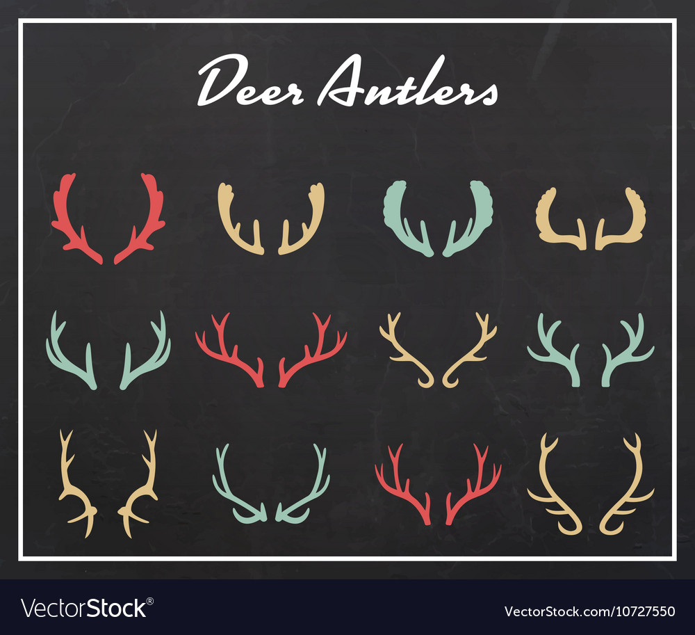 Vintage Silhouettes Of Different Deer Horns Vector Image