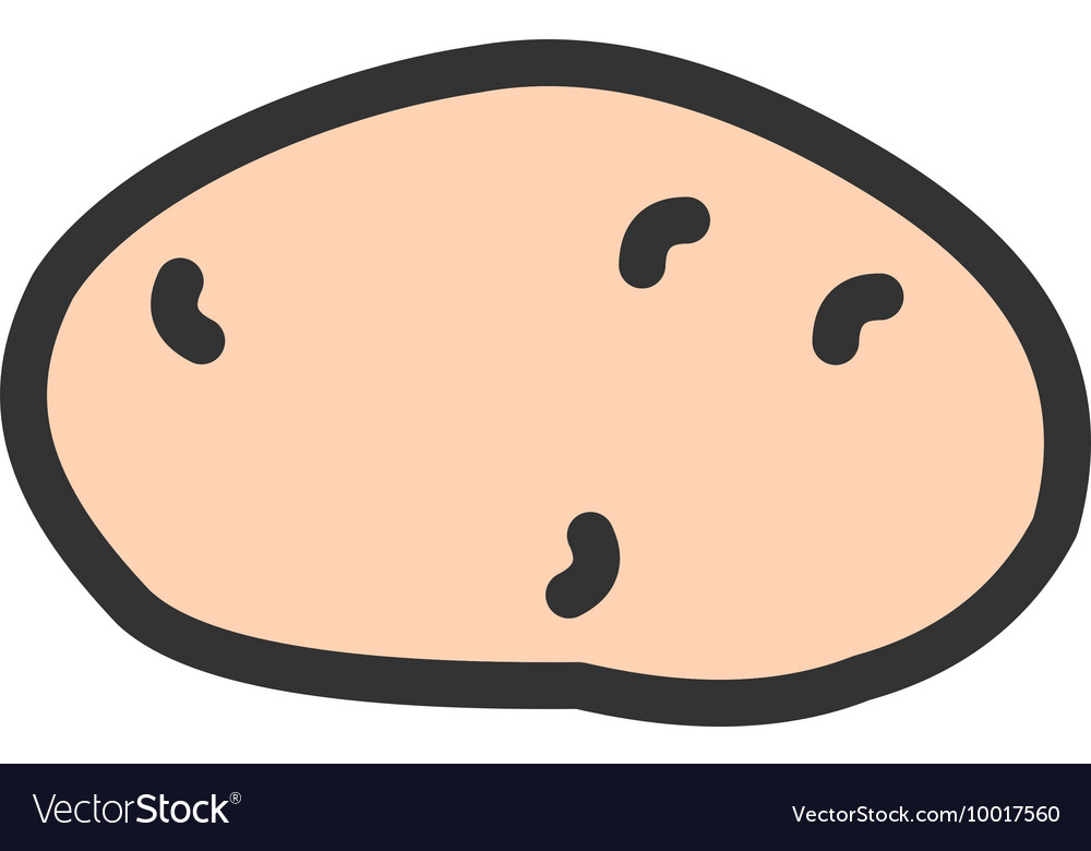 Potato Royalty Free Vector Image Vectorstock