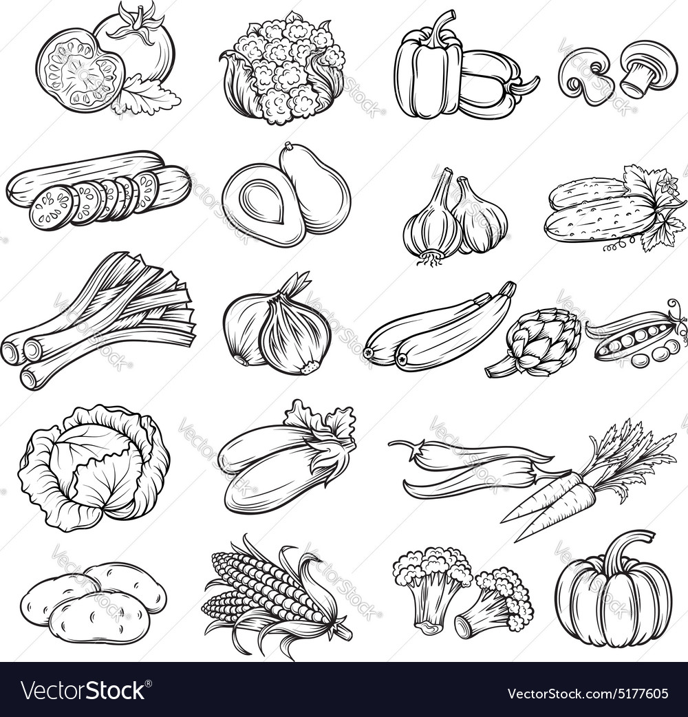 Hand Drawn Vegetable Royalty Free Vector Image