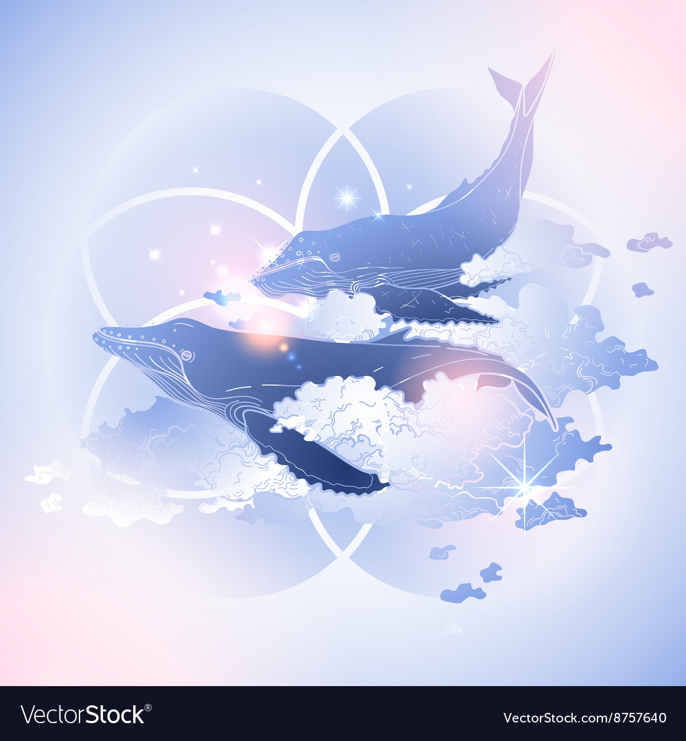 Graphic Whales Flying In The Sky Royalty Free Vector Image