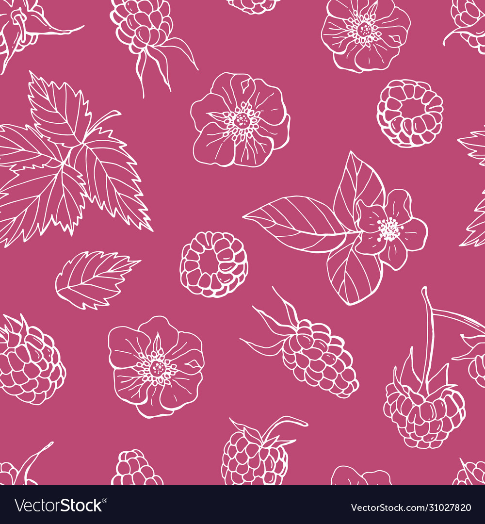 Linear Seamless Raspberry Pattern Royalty Free Vector Image