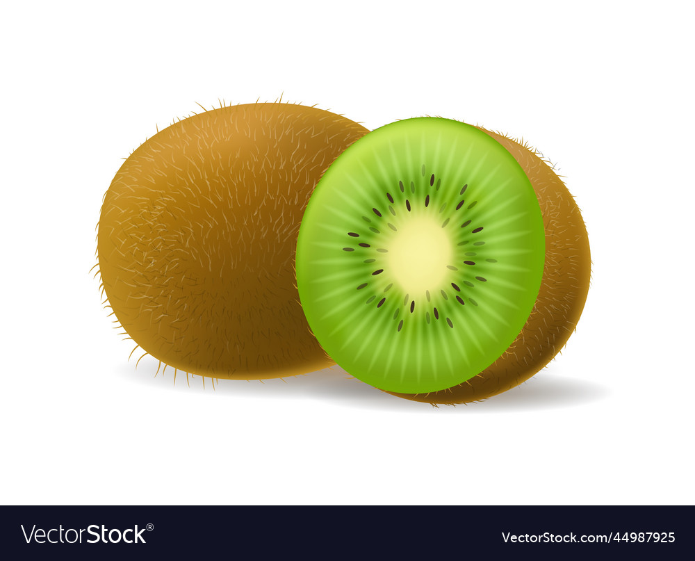 Realistic Kiwi Fruit Royalty Free Vector Image