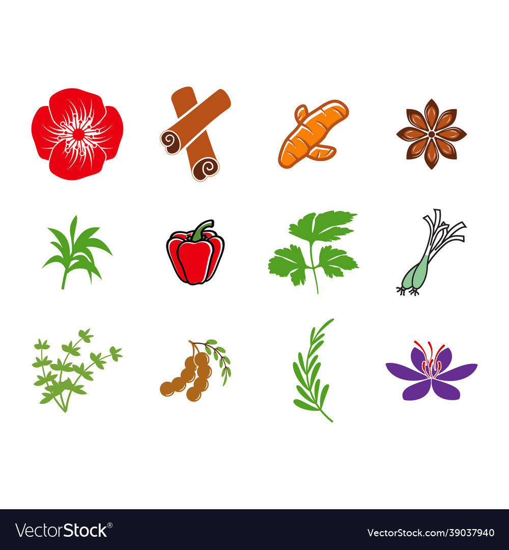 Spices And Herbs Icon Set Design Template Vector Image