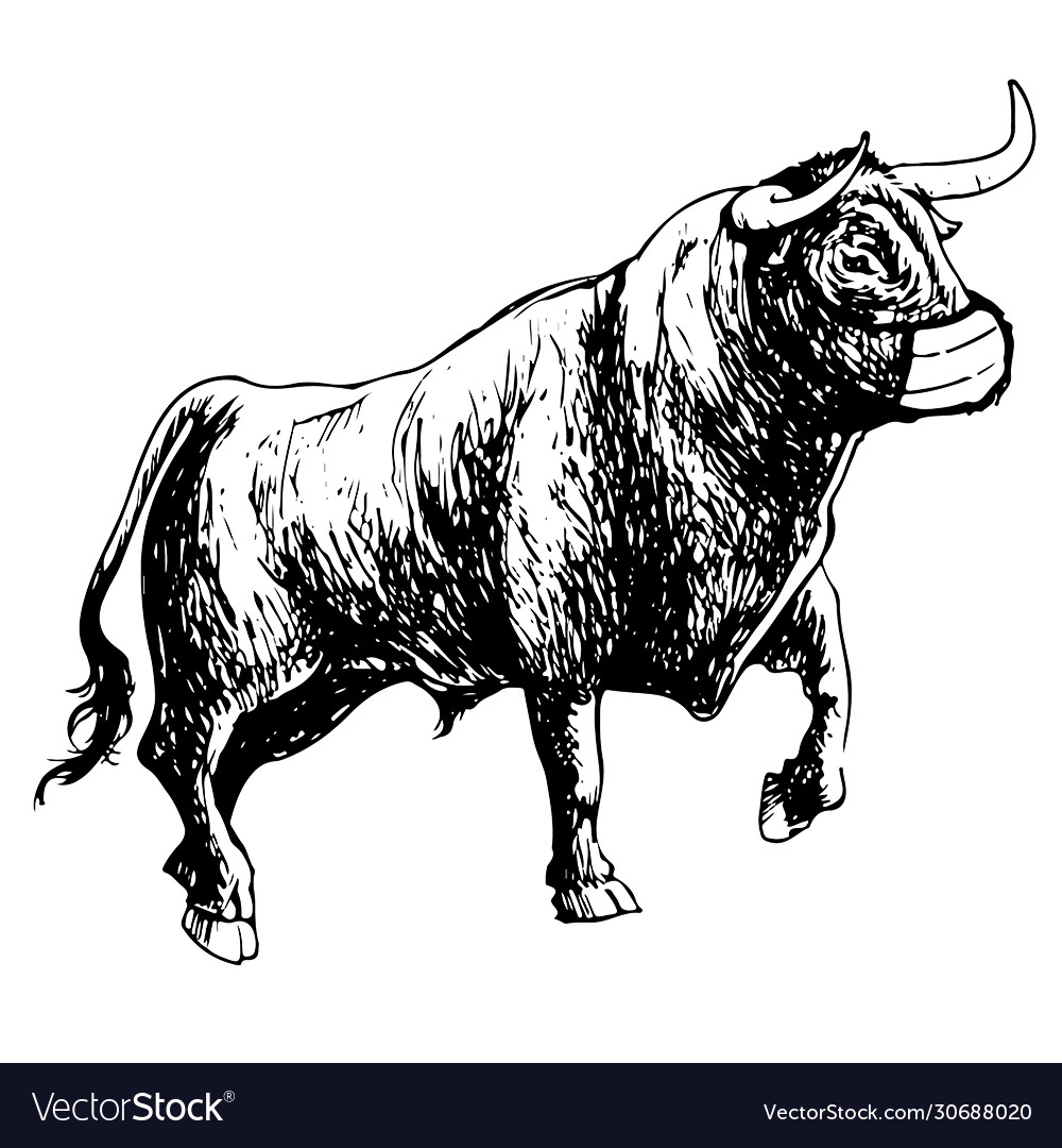 Нарисовать быка
