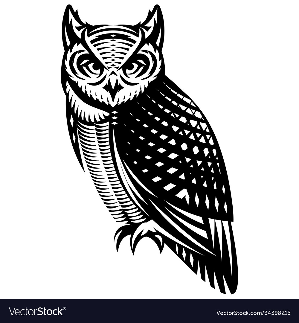 Stylish Owl Side View Monochrome Royalty Free Vector Image