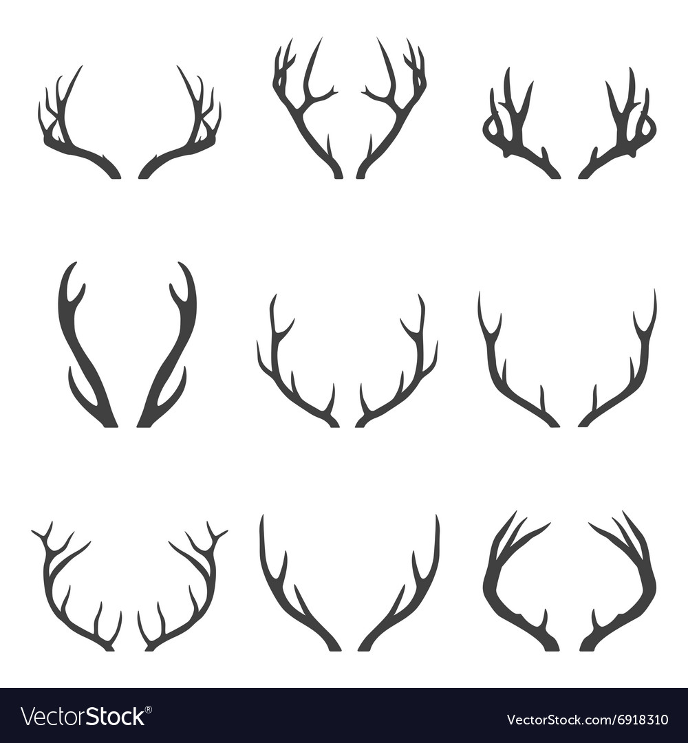 Set Of Deer Horns Royalty Free Vector Image Vectorstock