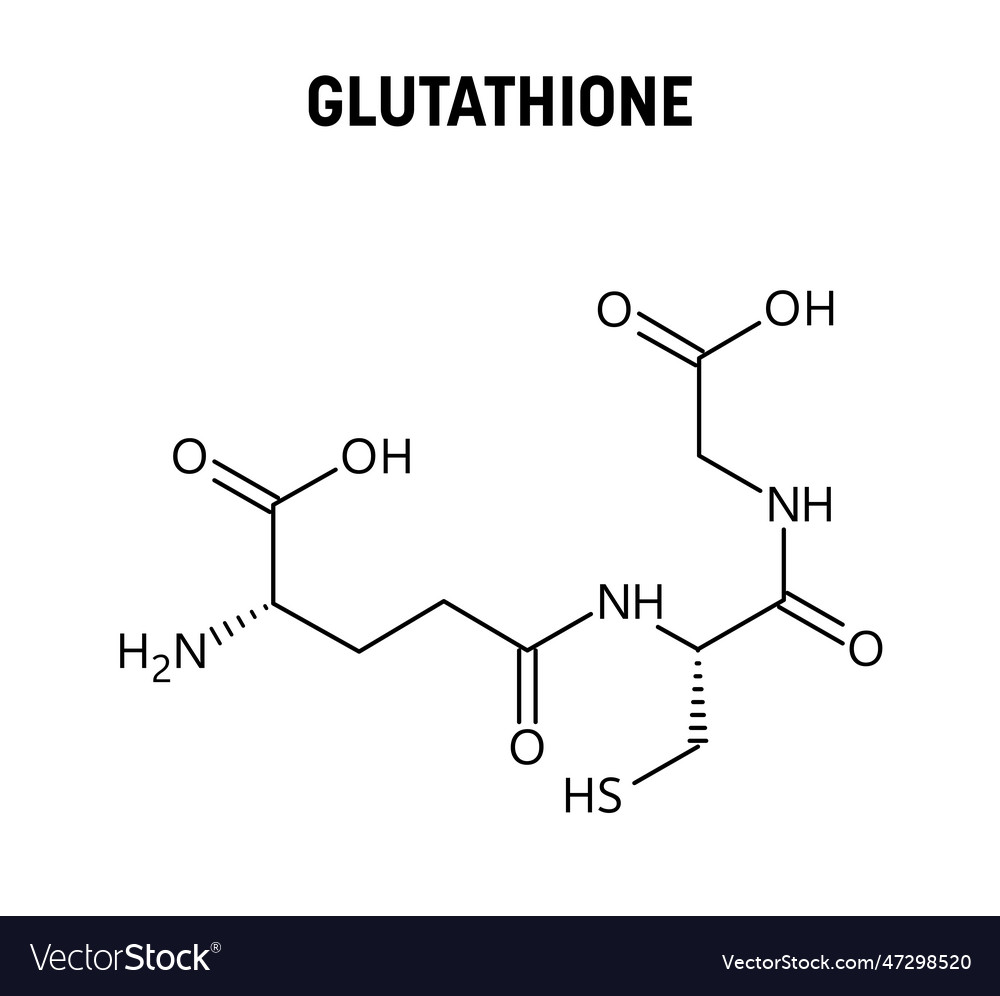 Glutathione Structural Formula Of Molecular Vector Image