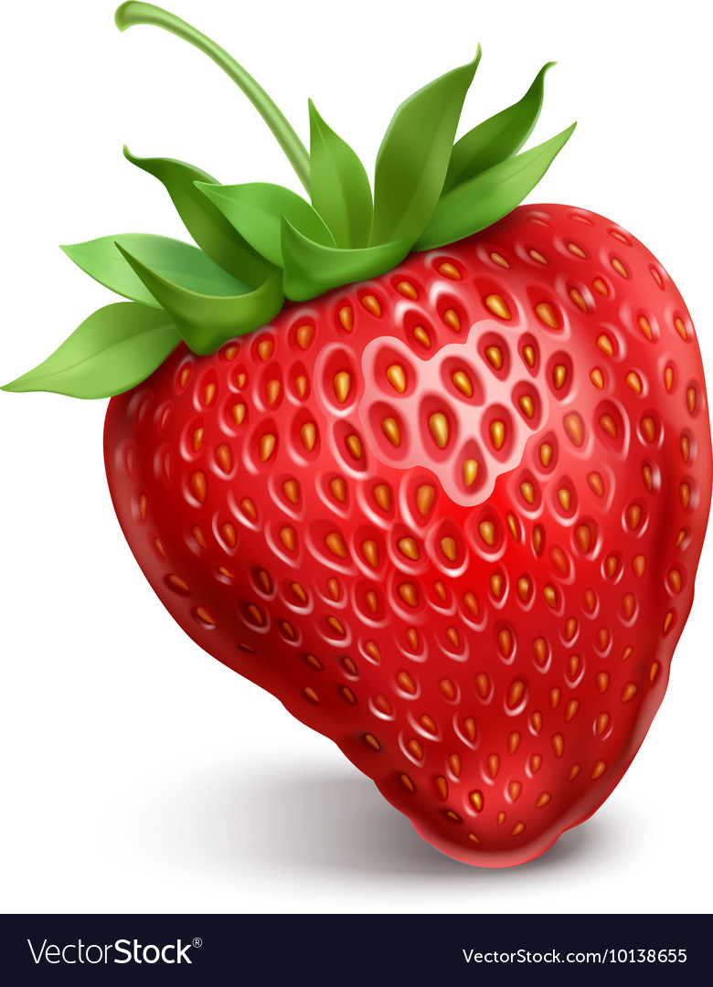 Strawberry Royalty Free Vector Image Vectorstock