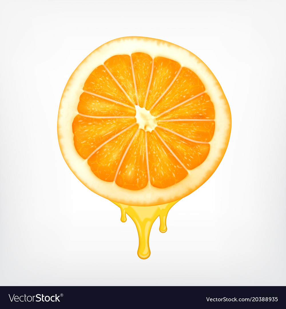 Orange Slice With Dripping Juice Royalty Free Vector Image