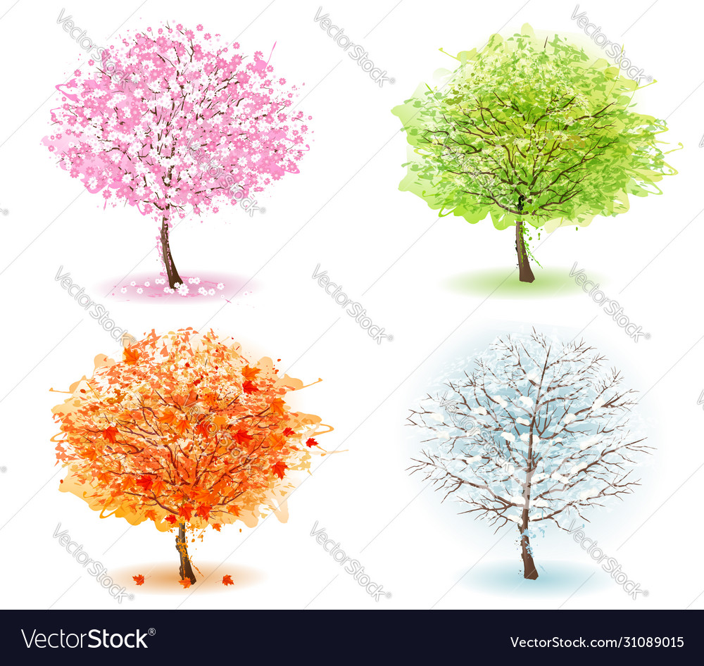 Nature Four Stylized Trees Representing Different Vector Image